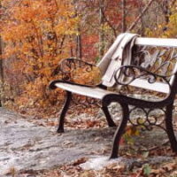 Services Provided by Practicum Student